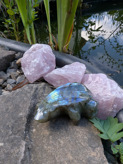 Grenouille crapaud labradorite