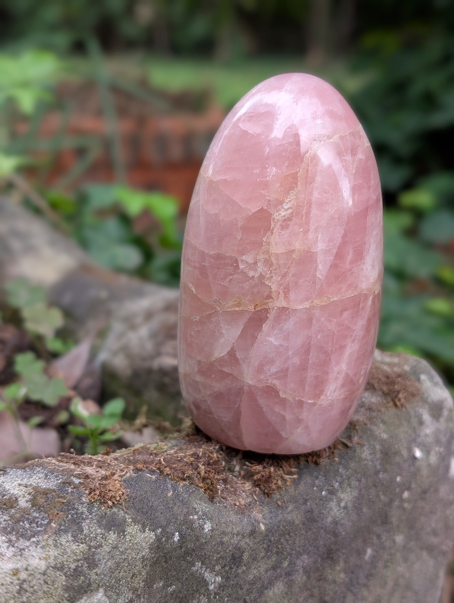 Quartz rose à poser photo contractuelle