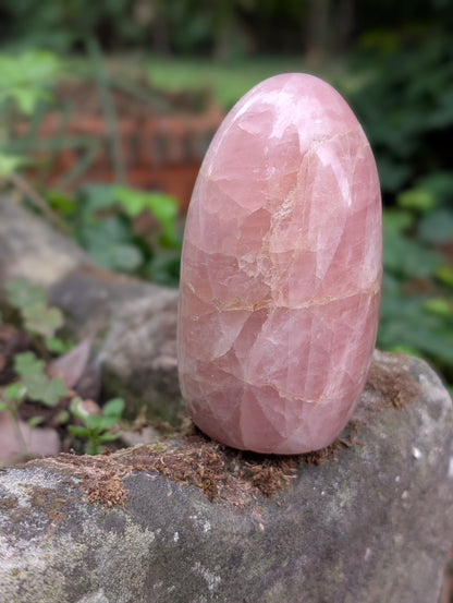Quartz rose à poser photo contractuelle