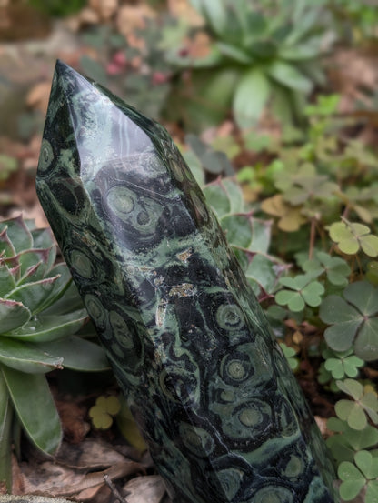 Pointe en jaspe kambaba ou crocodile