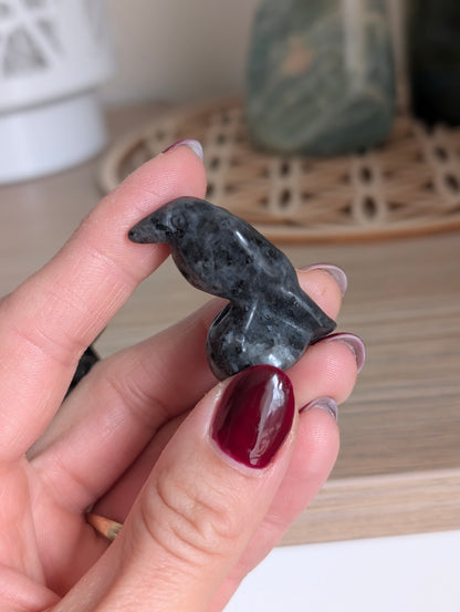 1 corbeau en larvikite