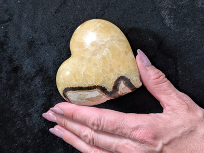 Septaria forme de coeur 8.5x8 cm