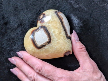 Septaria forme de coeur 8.5x8 cm