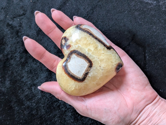 Septaria forme de coeur 8.5x8 cm