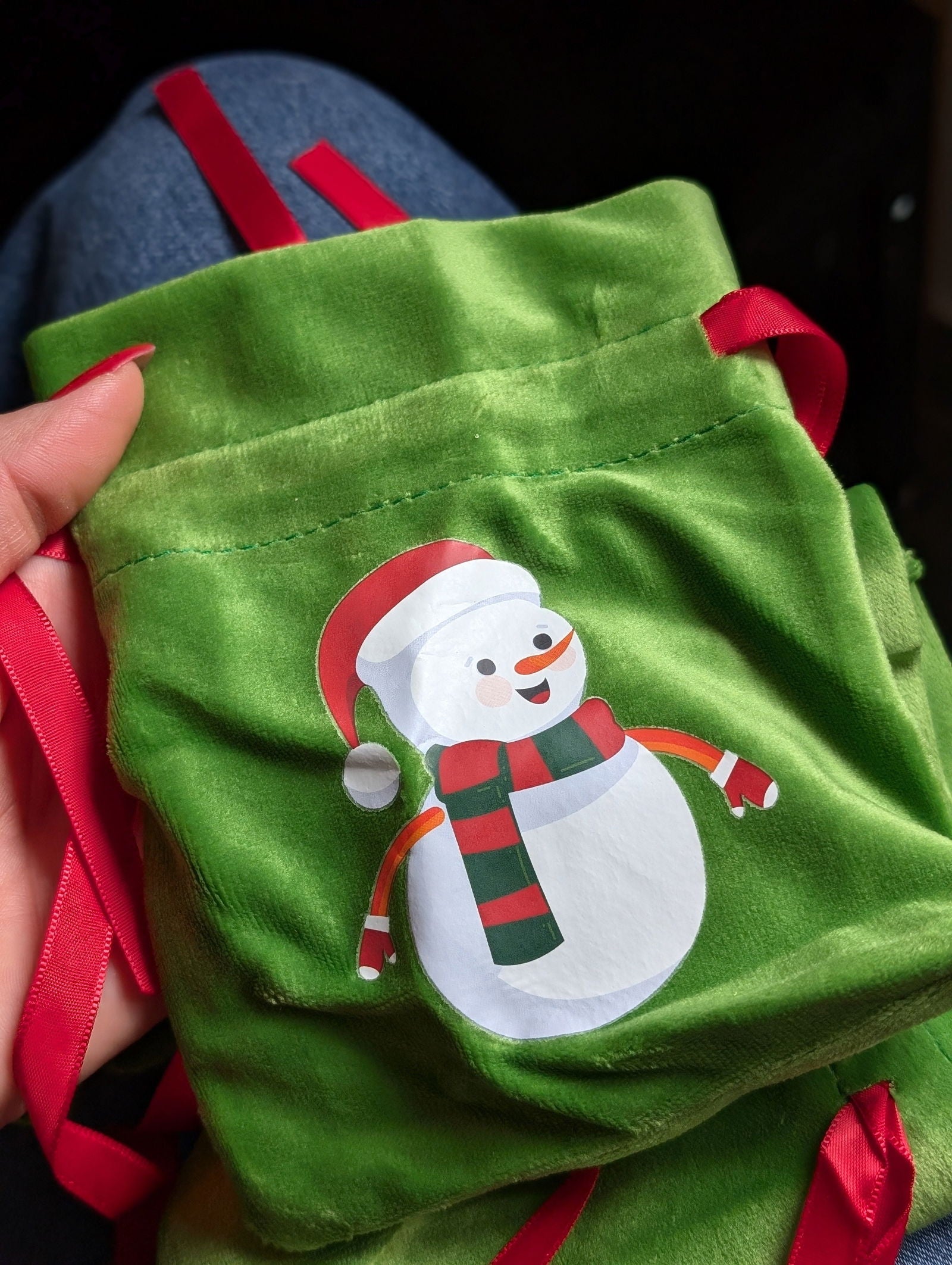 Pochon cadeau de Noël en velours vert - Aurore Lune 