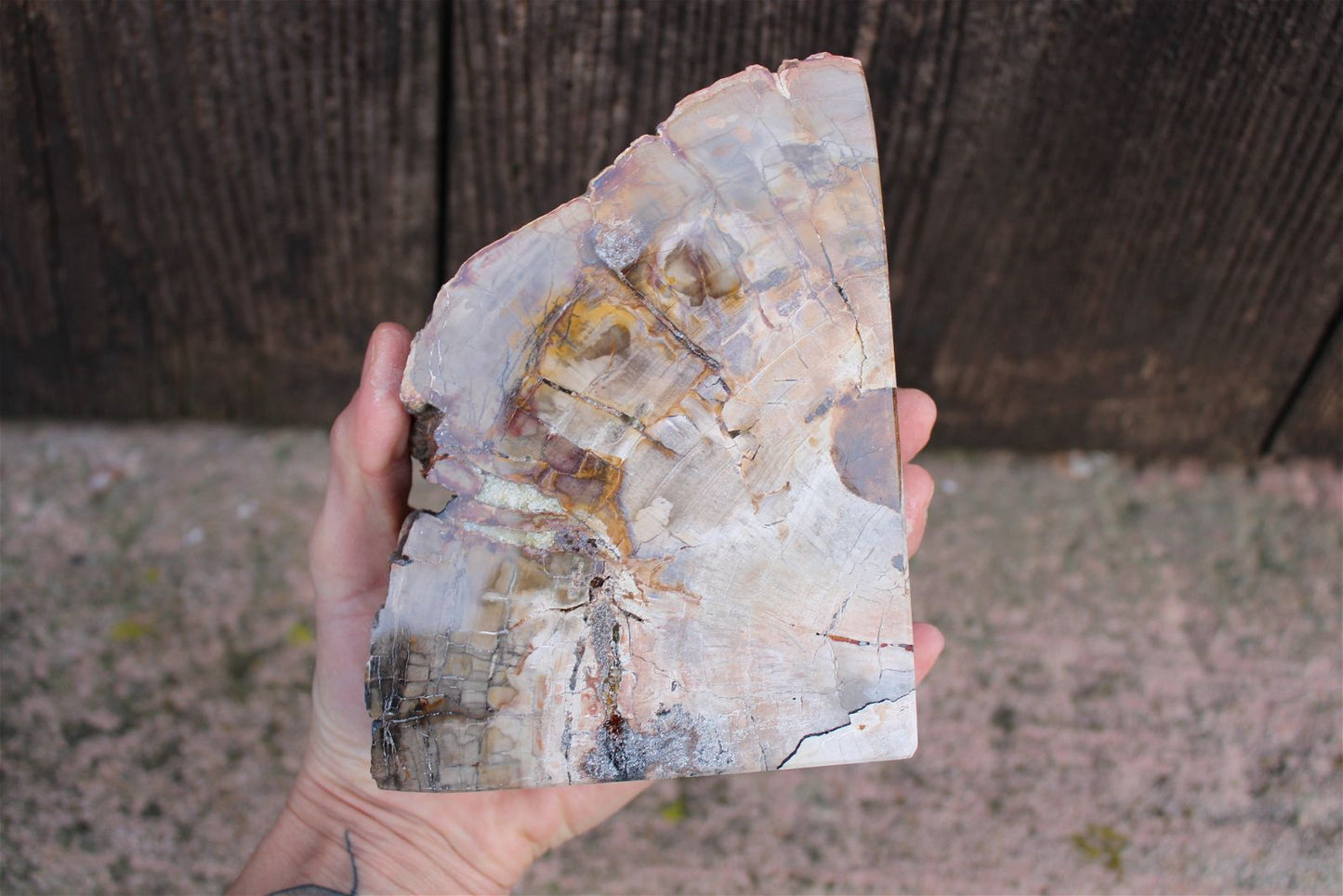 Serre livres en bois fossile  - COLIS - Aurore Lune 