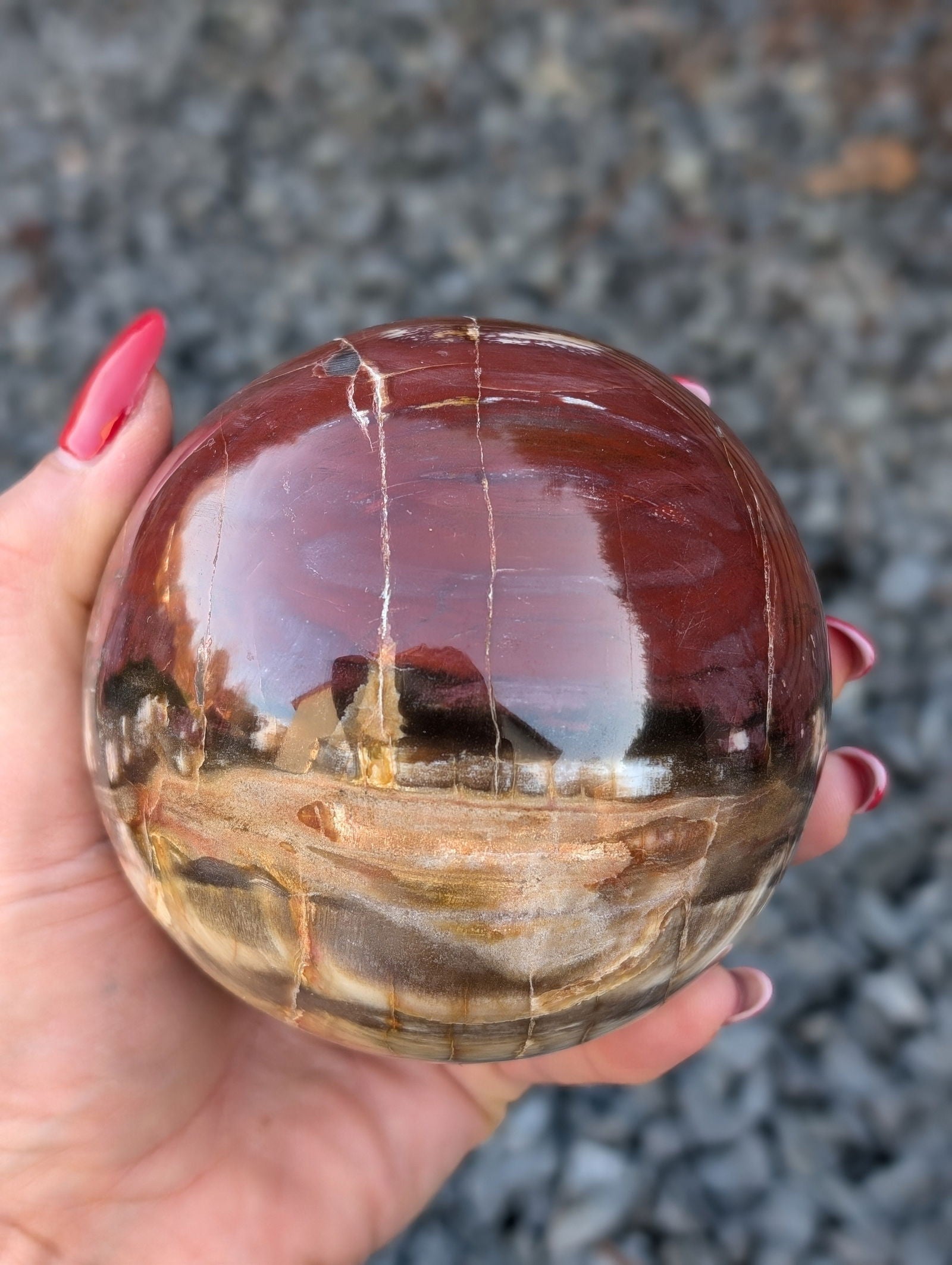 Sphère bois fossile - Aurore Lune 