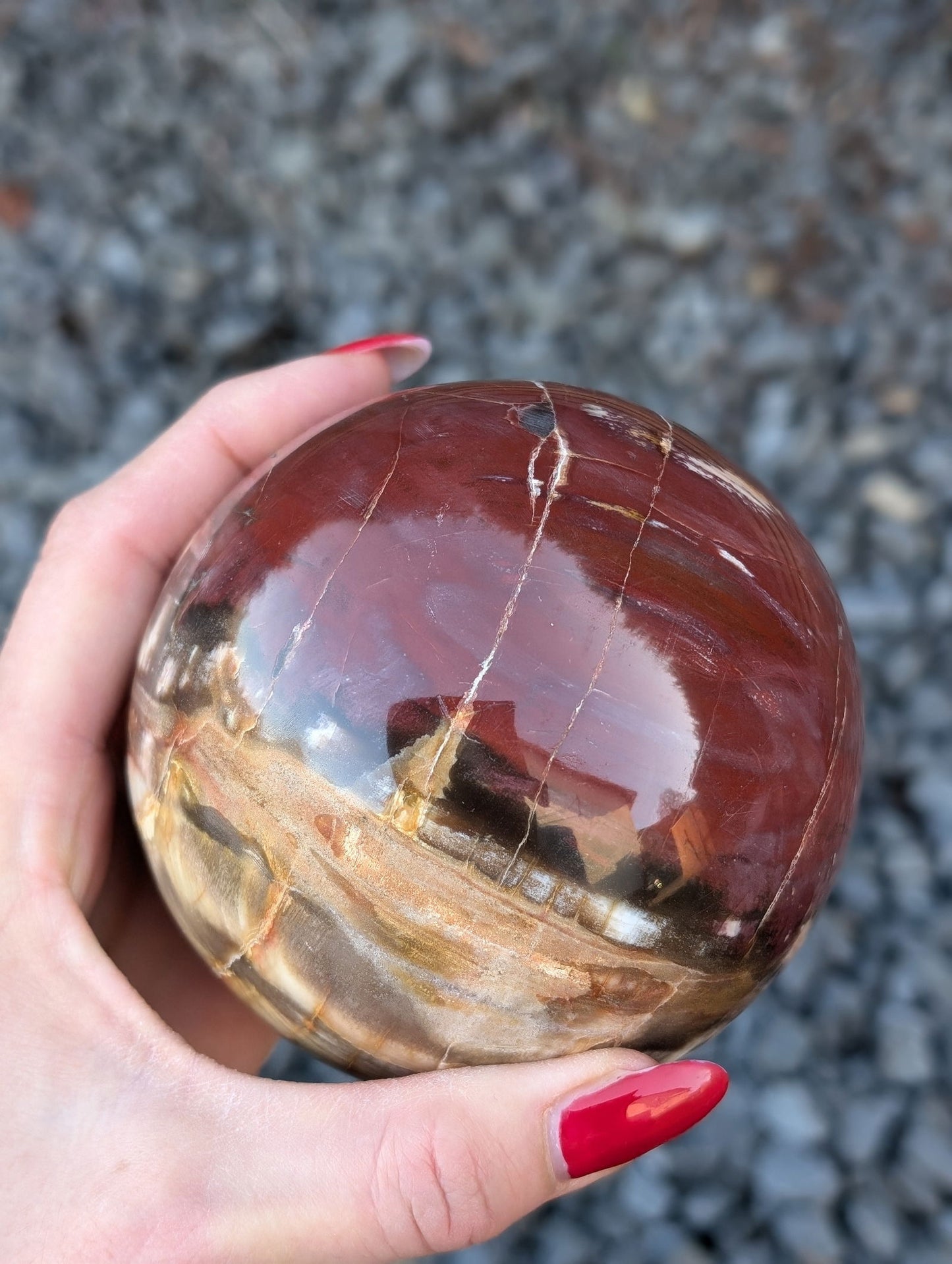 Sphère bois fossile - Aurore Lune 