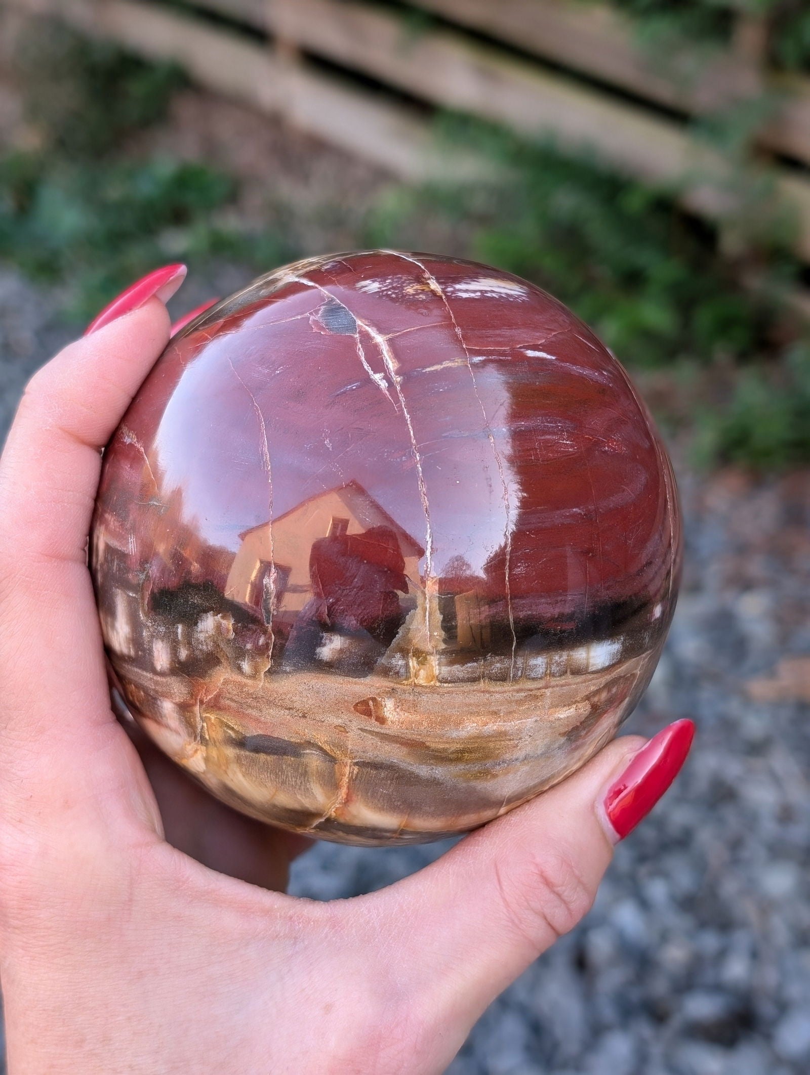 Sphère bois fossile - Aurore Lune 