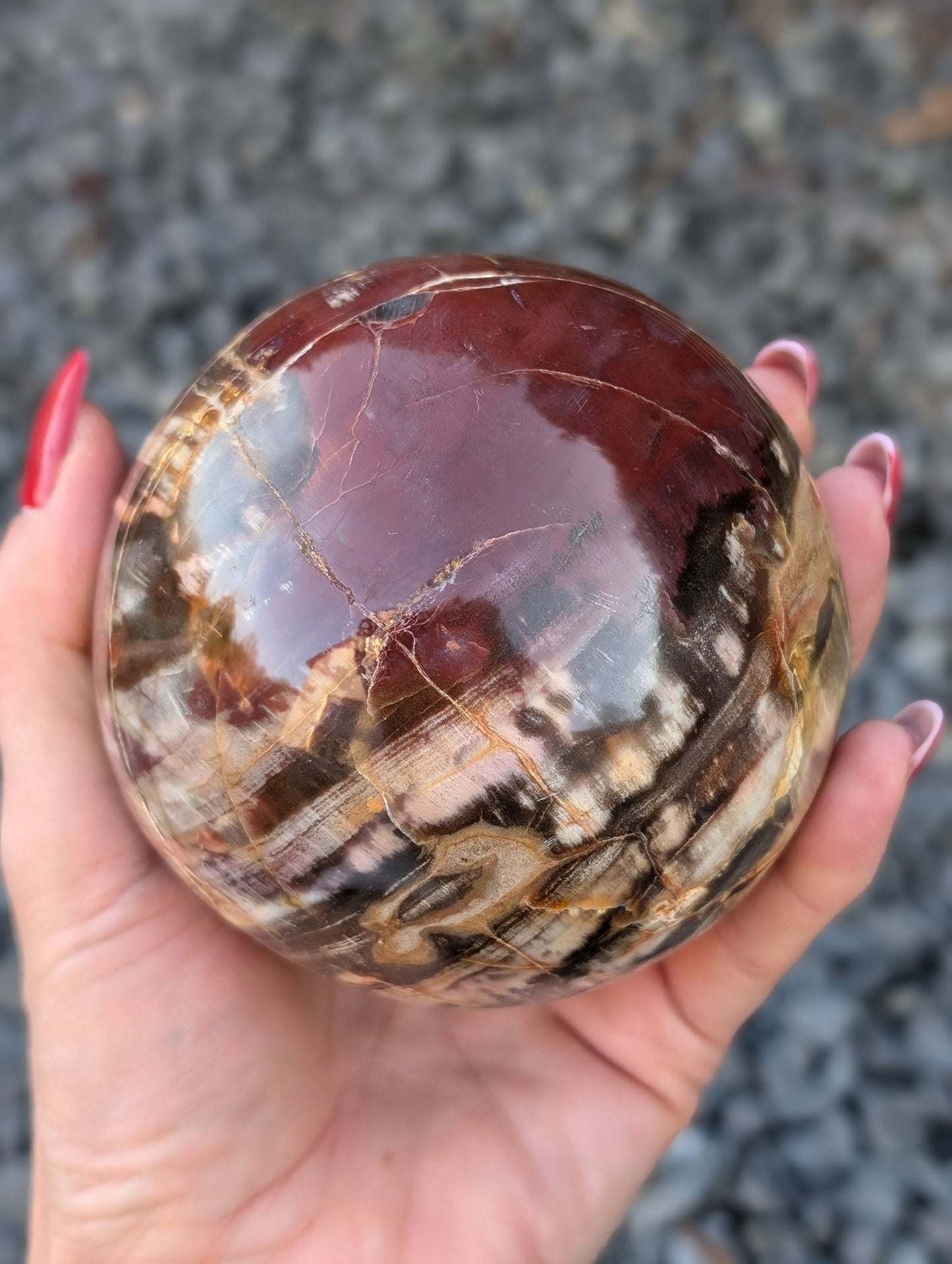 Sphère bois fossile - Aurore Lune 