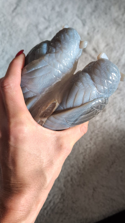 Couple de chouettes en agate