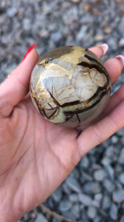 Sphère de septaria