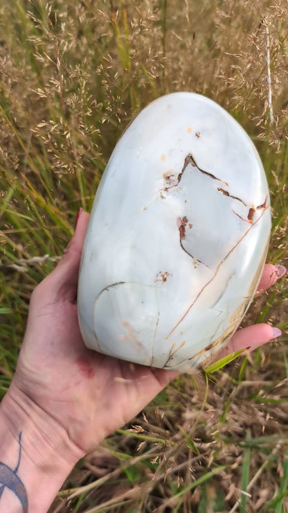 Agate à dendrites 1.4 kg