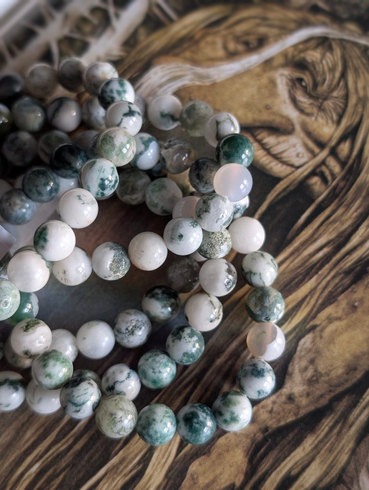 Bracelet agate arbre 8 mm 16-17 cm