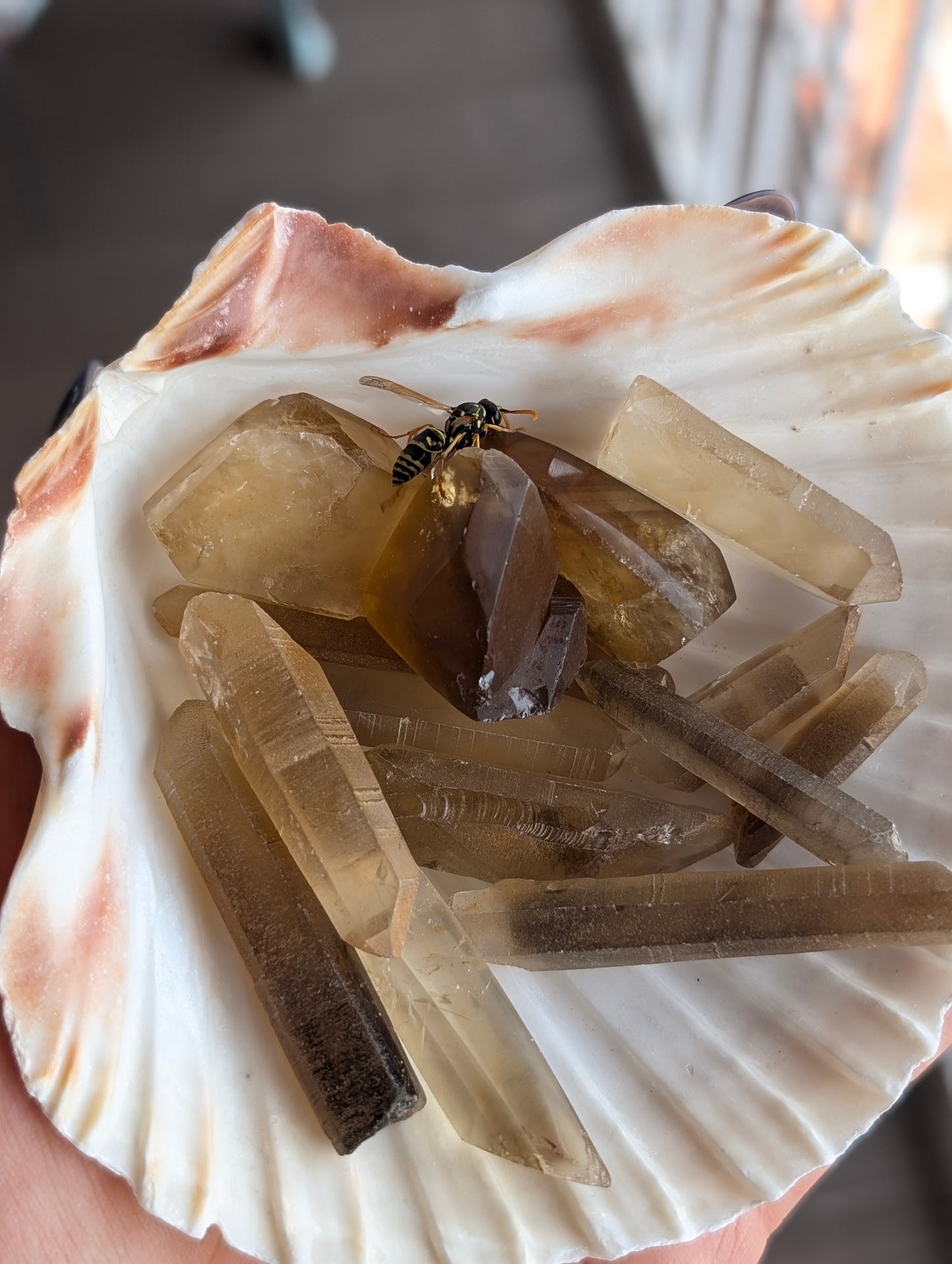 Pointes de citrine véritables