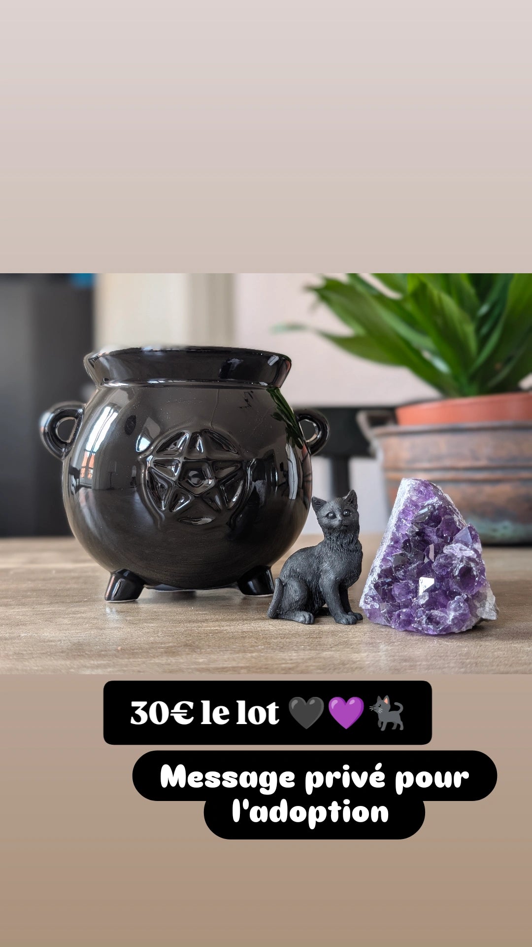 Lot chat chaudron améthyste