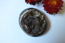 Charger la photo dans la galerie, Géode d&#39;ammonite 6 x 5.2 cm