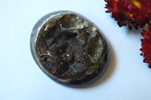 Géode d'ammonite 6 x 5.2 cm