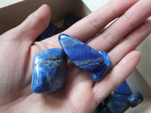 Pierre roulée en lapis lazuli TAILLE AU CHOIX