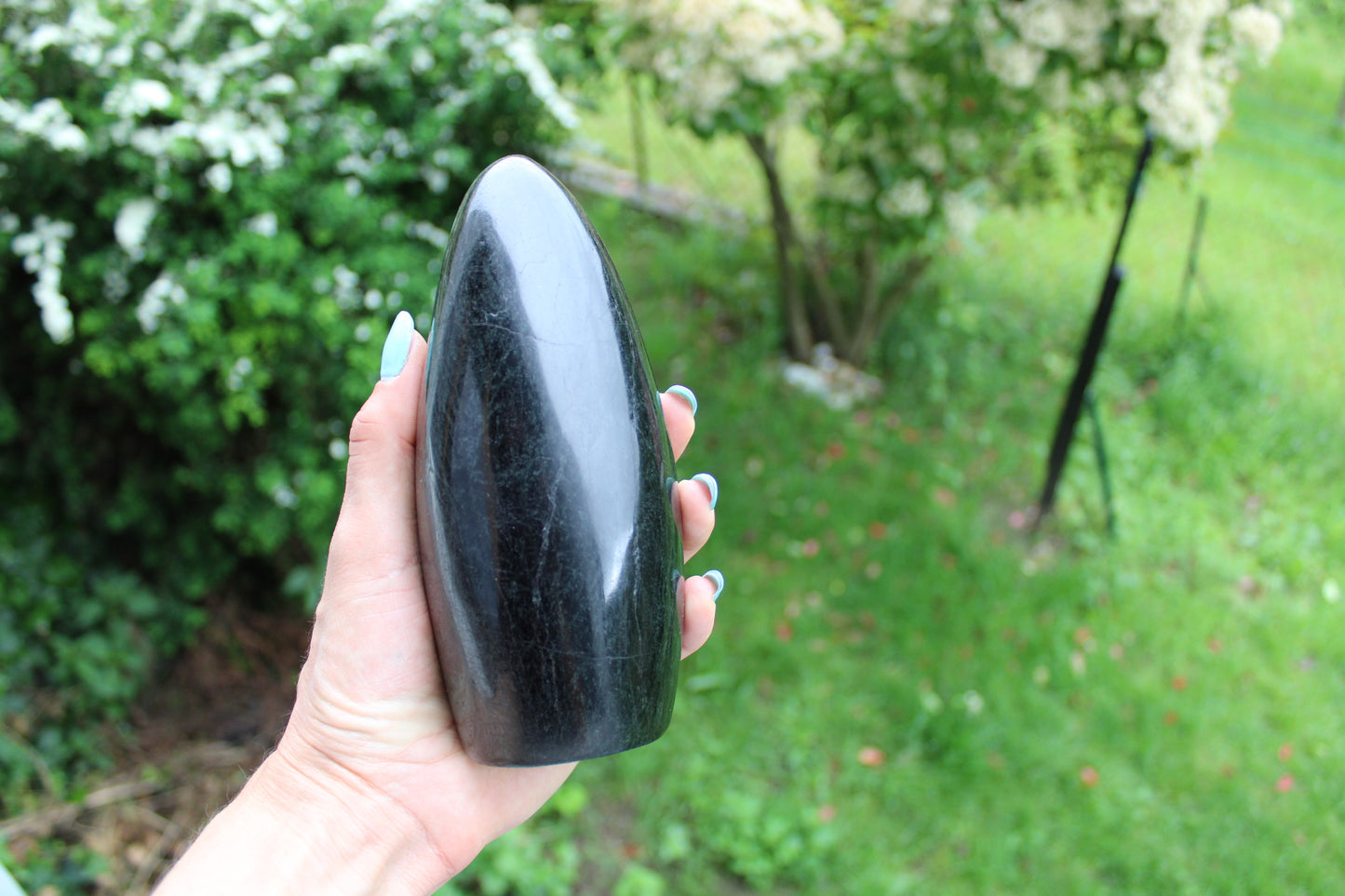 1 Tourmaline Noire à poser 1.364  kilogrammes 17 cm