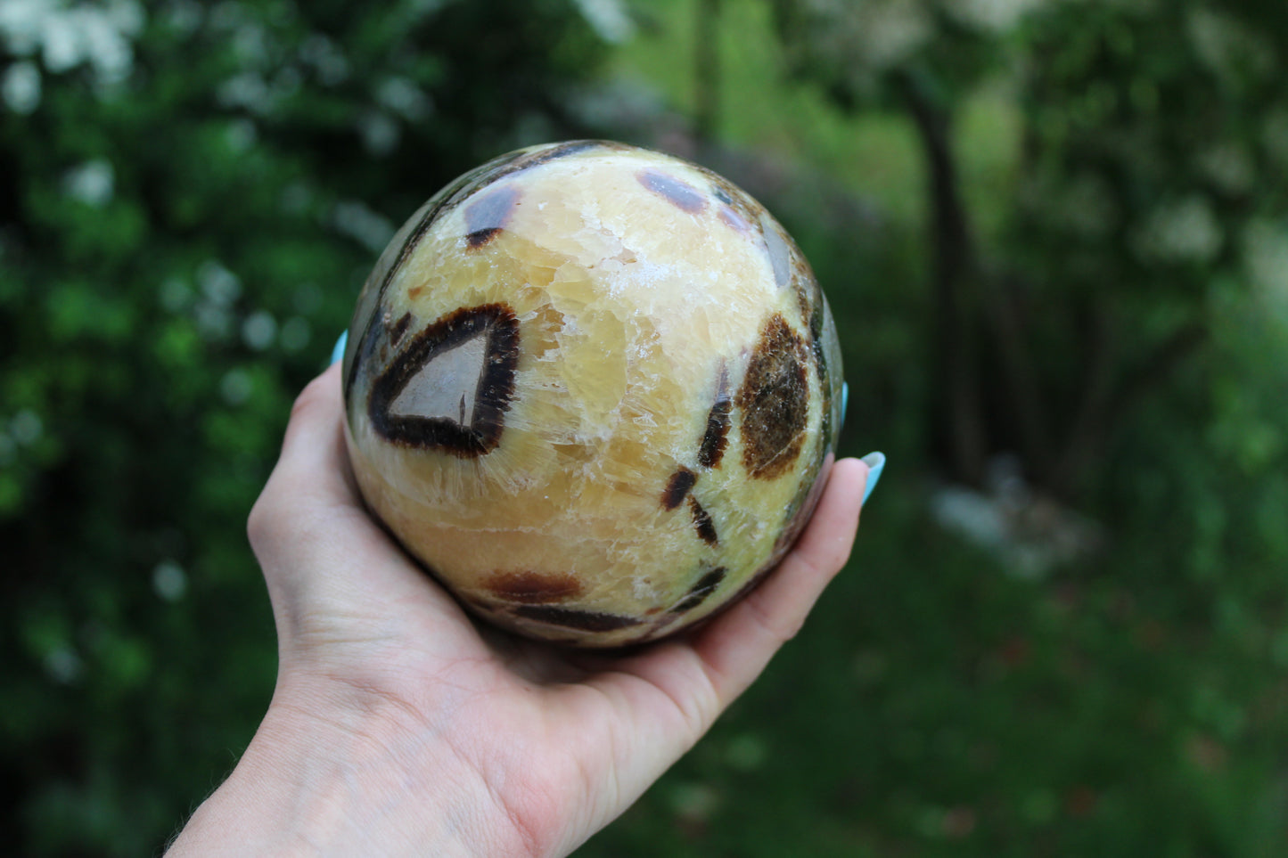 Enorme Sphère de septaria 1.802 kg 11 cm choisir COLIS