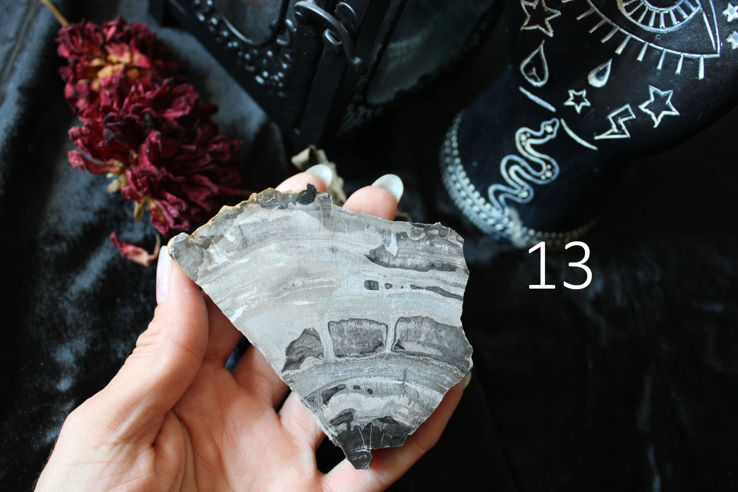 1 morceau de bois fossile AU CHOIX - format colis