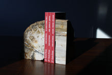 Charger la photo dans la galerie, Serre livres en bois fossile  - COLIS