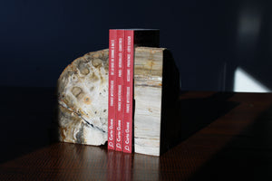 Serre livres en bois fossile  - COLIS
