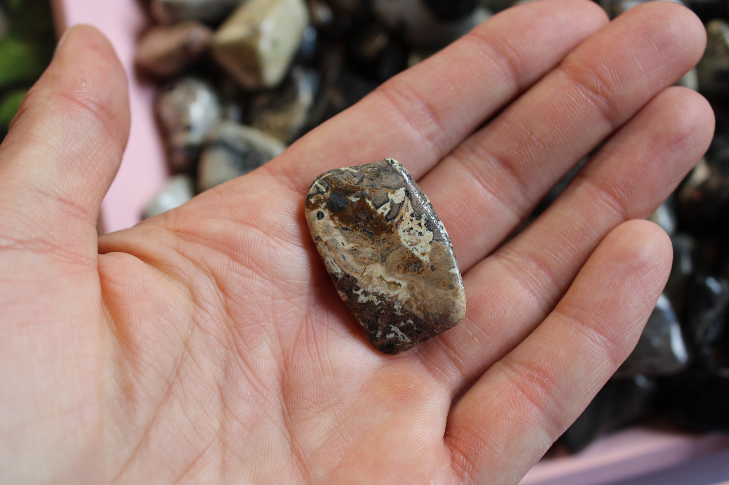 1 pierre roulée en jaspe feuille d'argent taille moyenne silver leaf